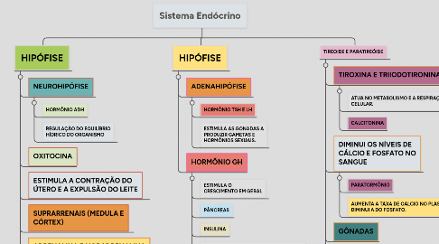 Mind Map: Sistema Endócrino