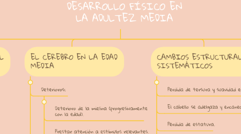 Mind Map: DESARROLLO FÍSICO EN LA ADULTEZ MEDIA