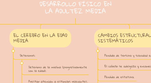 Mind Map: DESARROLLO FÍSICO EN LA ADULTEZ MEDIA