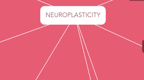 Mind Map: NEUROPLASTICITY