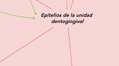 Mind Map: Epitelios de la unidad  dentogingival