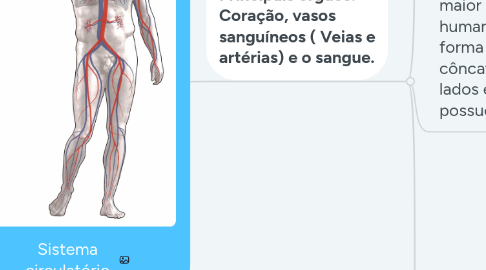 Mind Map: Sistema circulatório