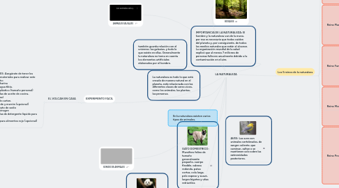Mind Map: LA NATURALEZA
