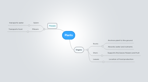 Mind Map: Plants