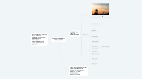 Mind Map: A TEORIA DOS DIREITOS FUNDAMENTAIS