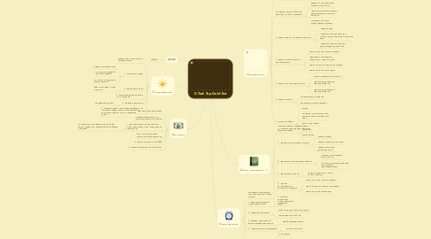 Mind Map: X-Trail Top Gold Ext