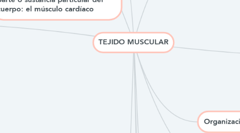 Mind Map: TEJIDO MUSCULAR