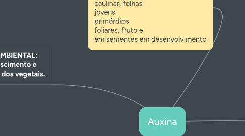 Mind Map: Auxina