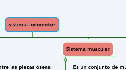 Mind Map: sistema locomotor