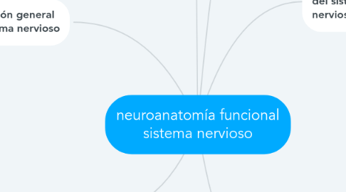 Mind Map: neuroanatomía funcional sistema nervioso