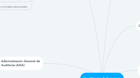 Mind Map: Auditoria Aduanera