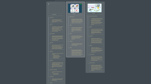 Mind Map: Elementos, Características y Principios Contables
