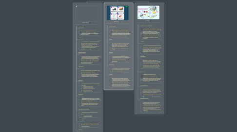 Mind Map: Elementos,  Características y  Principios Contables