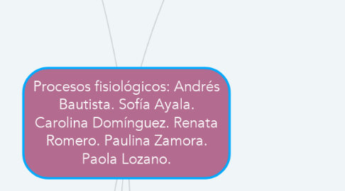 Mind Map: Procesos fisiológicos: Andrés Bautista. Sofía Ayala. Carolina Domínguez. Renata Romero. Paulina Zamora. Paola Lozano.