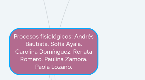 Mind Map: Procesos fisiológicos: Andrés Bautista. Sofía Ayala. Carolina Domínguez. Renata Romero. Paulina Zamora. Paola Lozano.