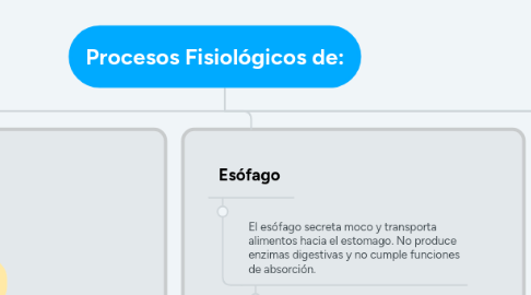 Mind Map: Procesos Fisiológicos de: