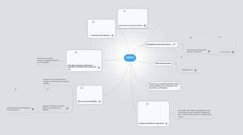 Mind Map: PARTO