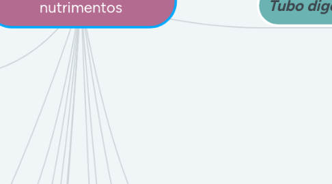 Mind Map: Absorción y digestión de nutrimentos