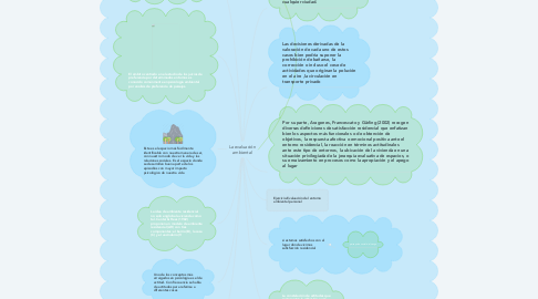 Mind Map: La evaluación ambiental