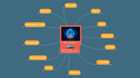 Mind Map: Pares Craneales