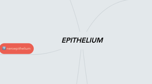 Mind Map: EPITHELIUM