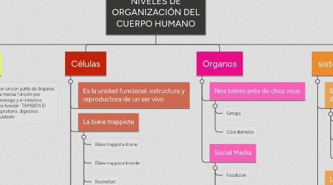 Mind Map: NIVELES DE ORGANIZACIÓN DEL CUERPO HUMANO