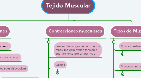 Mind Map: Tejido Muscular