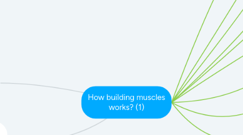 Mind Map: How building muscles works? (1)