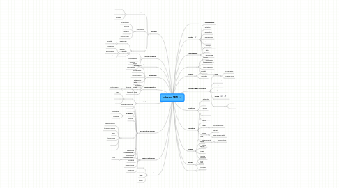 Mind Map: Indice per TEMI