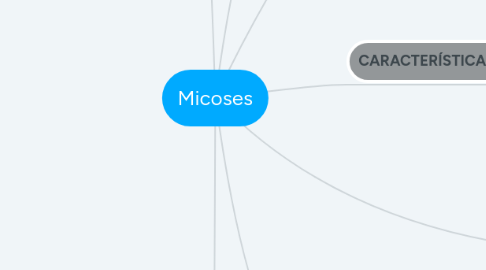 Mind Map: AMINOÁCIDOS