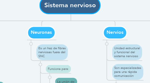 Mind Map: Sistema nervioso