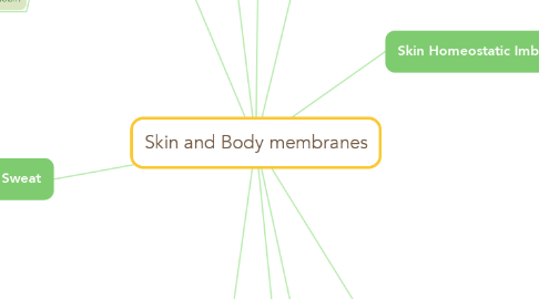 Mind Map: Skin and Body membranes