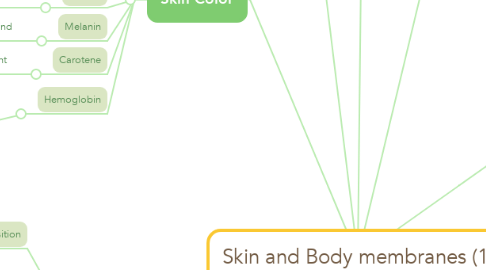 Mind Map: Skin and Body membranes (1)