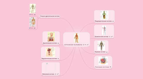 Mind Map: ОРГАНИЗМ ЧЕЛОВЕКА