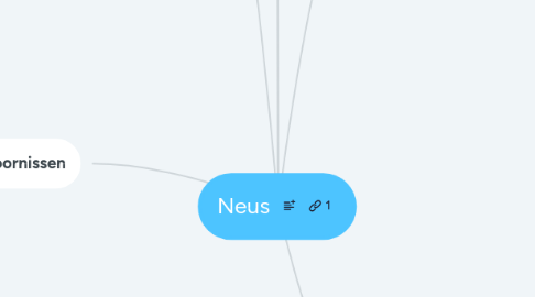 Mind Map: Neus