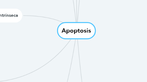Mind Map: Apoptosis