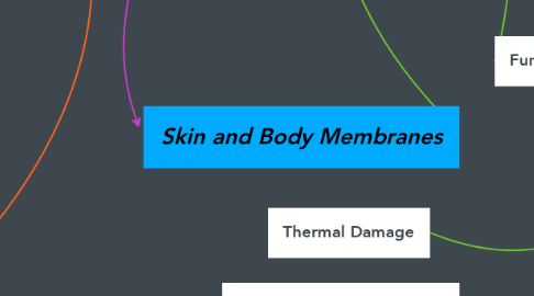 Mind Map: Skin and Body Membranes