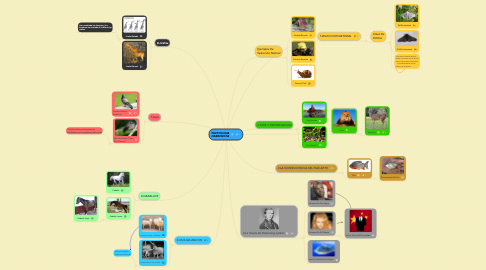 Mind Map: TAUTOLOGIA DARWINISTA