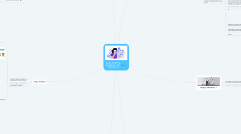Mind Map: ANÁLISIS DE LA EMPRESA Y DEL PRODUCTO