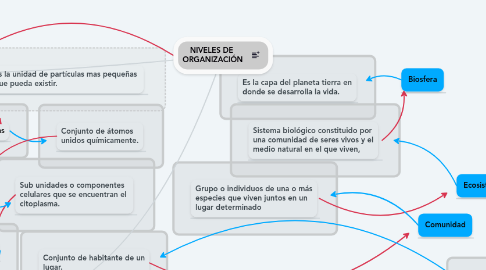 Mind Map: NIVELES DE  ORGANIZACIÓN