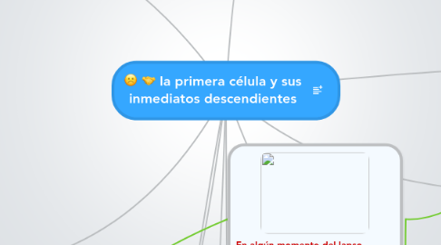 Mind Map: la primera célula y sus inmediatos descendientes