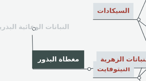 Mind Map: النباتات الوعائية البذرية