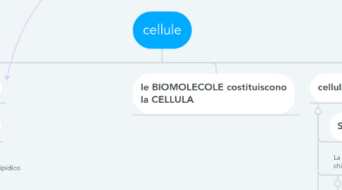 Mind Map: cellule