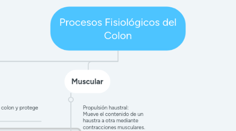 Mind Map: Procesos Fisiológicos del Colon