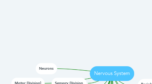 Mind Map: Nervous System