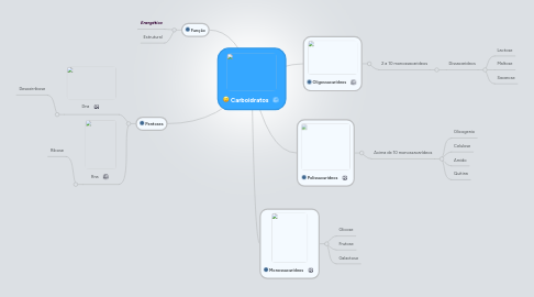 Mind Map: Carboidratos