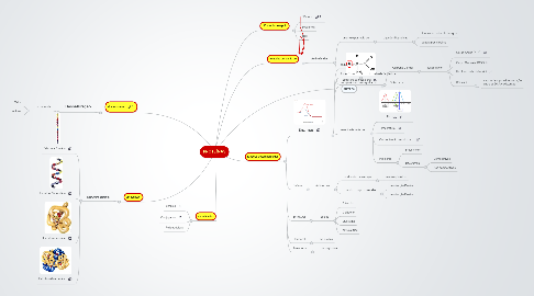 Mind Map: PROTEÍNAS