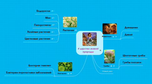 Mind Map: 4 царства живой природы