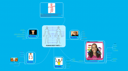 Mind Map: HUMAN BODY PARTS