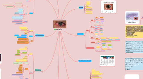 Mind Map: OJO ROJO